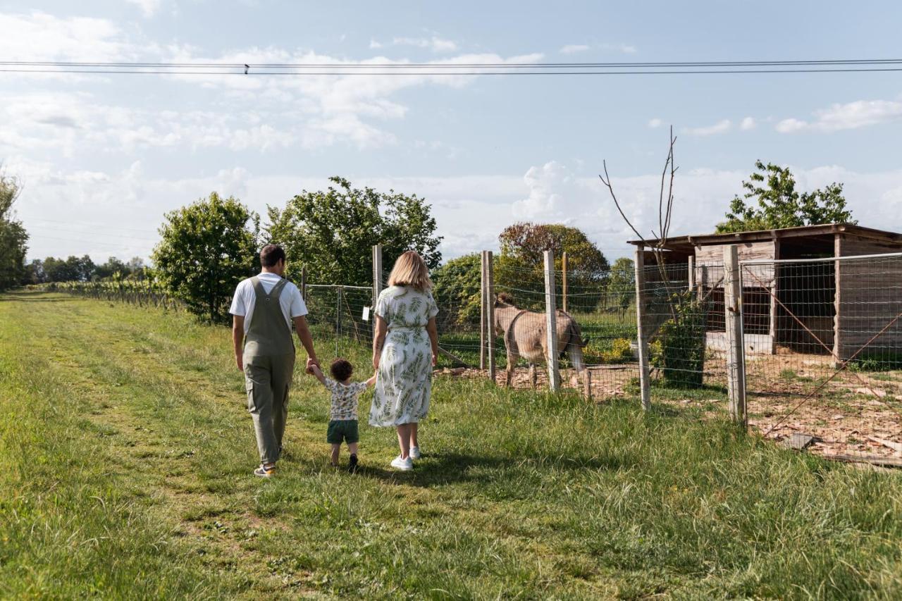 Agriturismo Rechsteiner Ponte di Piave Εξωτερικό φωτογραφία